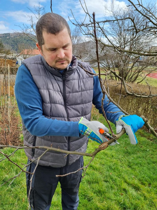 Spoznajte osnove obrezovanja dreves v spomladanskem času.
Foto: