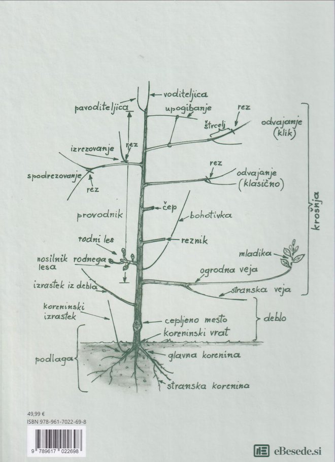 V knjigi je več kot 300 nazornih risb. Foto: eBesede
Foto:
