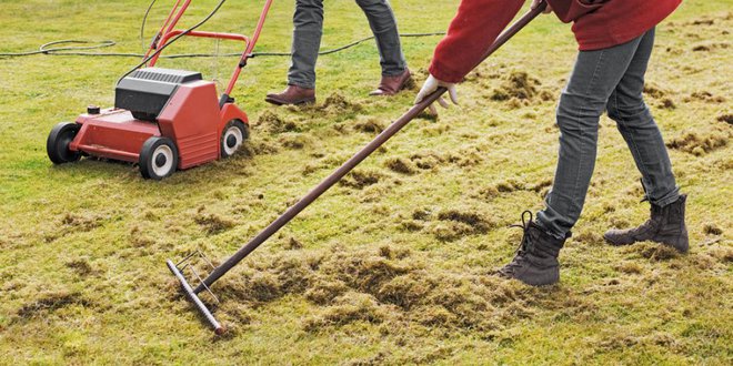 Z grobim grabljenjem pred prvo košnjo odstranimo presenetljivo veliko polsti. Foto: Ingo Bartussek/Shutterstock
Foto: