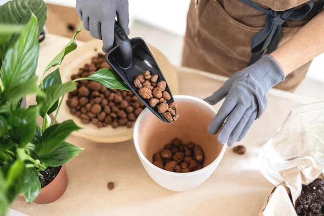 Drenaža na dnu lončka je nujna za odtekanje vode. Foto: Ganjalex/Shutterstock Foto:
