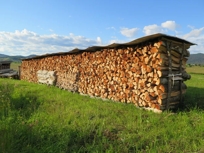 Foto: Bojan Žnidaršič