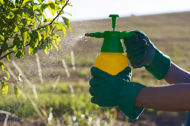 Foto: encierro/Shutterstock