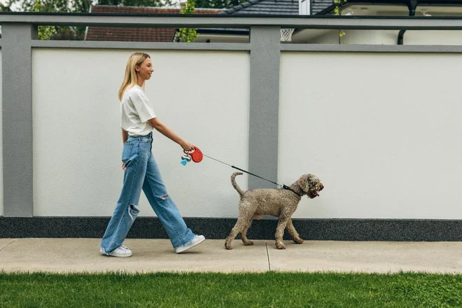 Foto: Dejan Dundjerski/Shutterstock