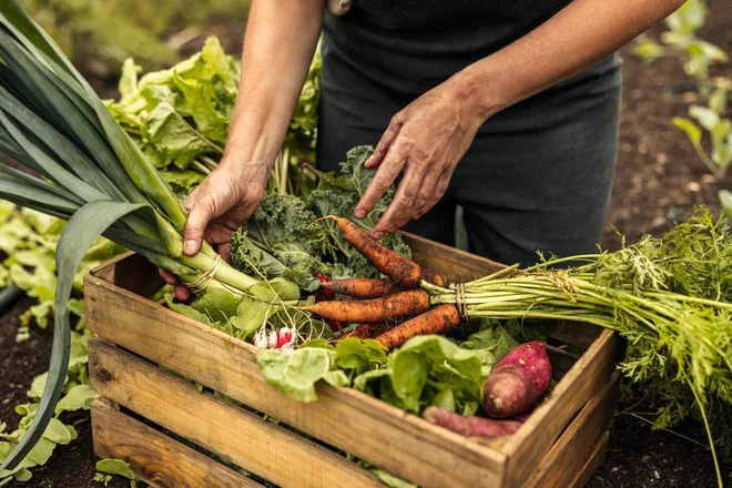 Foto: Jacob Lund/Shutterstock