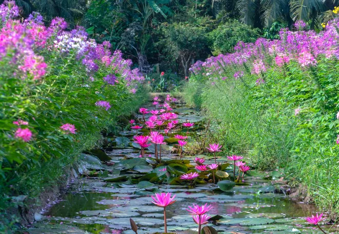 Foto: Huy Thoai/Shutterstock