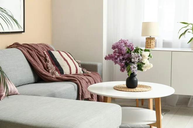Foto: Pixel-Shot/Shutterstock