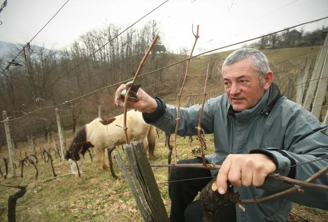 Foto: Jure Eržen
