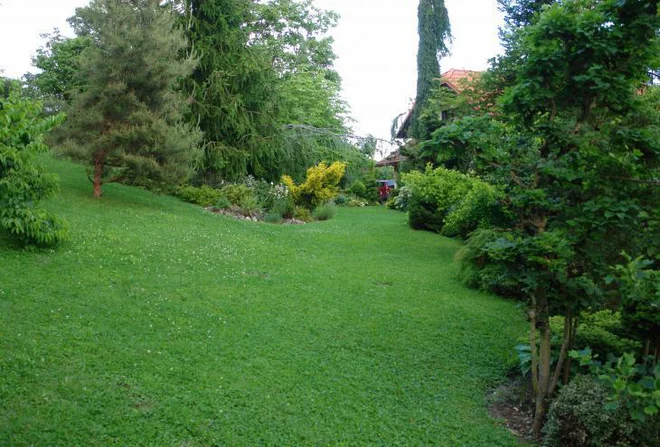 Foto: osebni arhiv