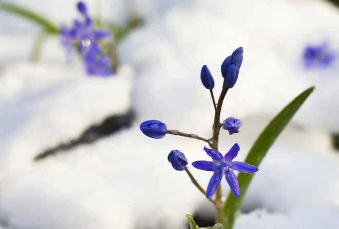 Foto: Igor Modic/dokumentacija Dela, Shutterstock in Wikimedia Commons