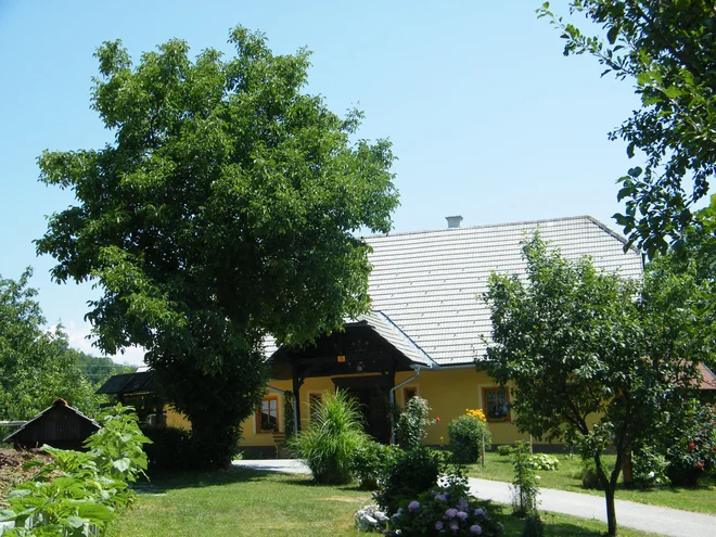 Foto: Anita Solar, Tomaž Pliberšek in Jože Miklavc