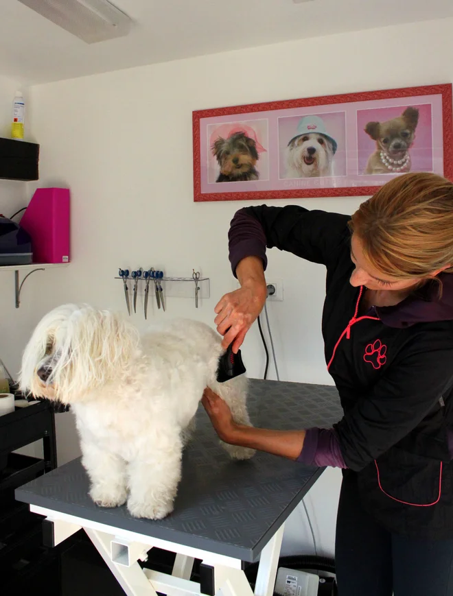 Foto: Petra Mauer in arhiv Petre Brecelj