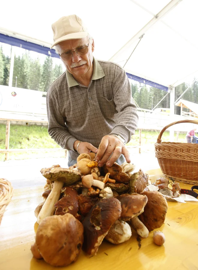 Največja dovoljena količina nabranih gob je kljub prejšnji mesec objavljeni novi uredbi o zavarovanih prostoživečih vrstah gliv, ki deloma dopolnjuje uredbo o varstvu samoniklih gliv, ostala nespremenjena, prav tako še naprej veljajo pravila o nabiranju.