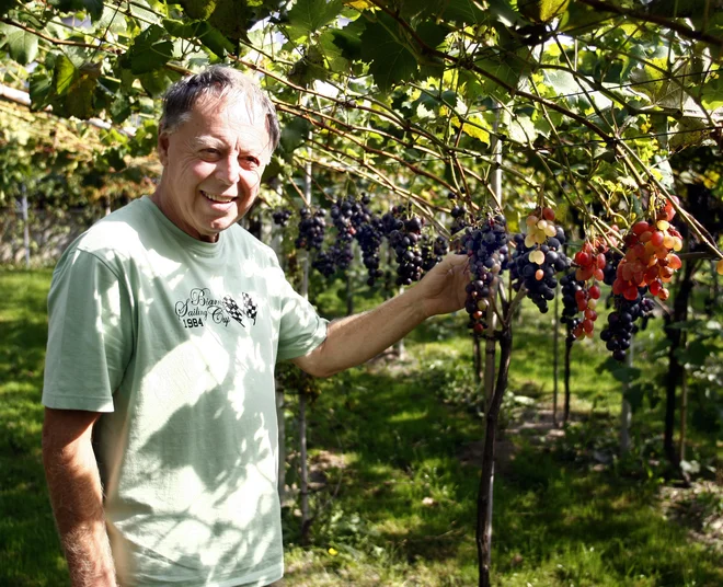 Foto: Aleš Černivec in arhiv Vide Najdič