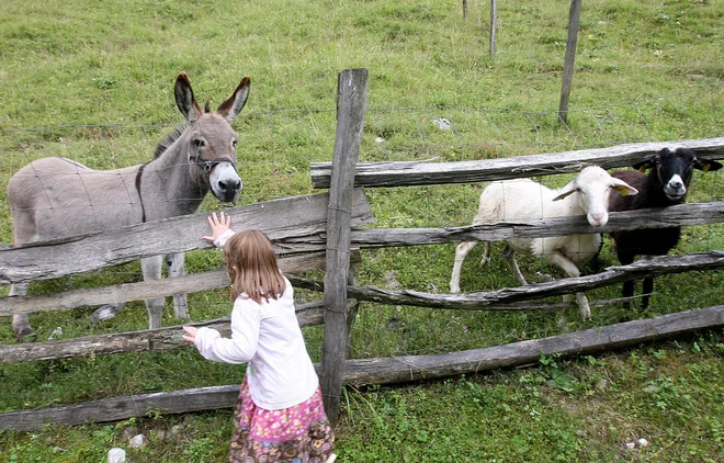 Foto: Ljubo Vukelič/Delo