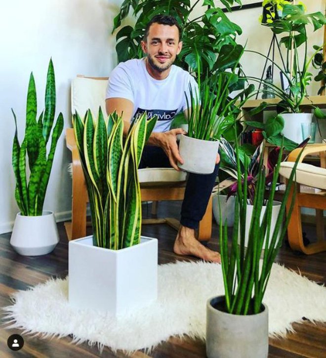 Tudi lonci so pomemben del vsake sobne rastline. Jan ima najraje klasične lonce, izbere pa belo, črno in odtenke zlate. (Foto: botanistbyheart/Instagram)
Foto: