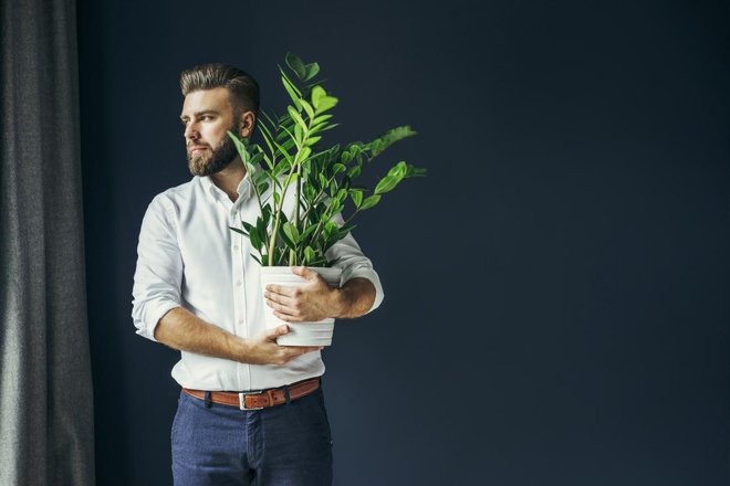 Ustreza ji polsenca oz. ne izpostavljenost neposredni sončni svetlobi. FOTO: Shutterstock
Foto: