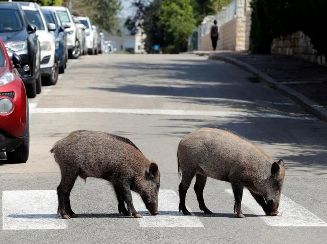 Foto: Ronen Zvulun/Reuters