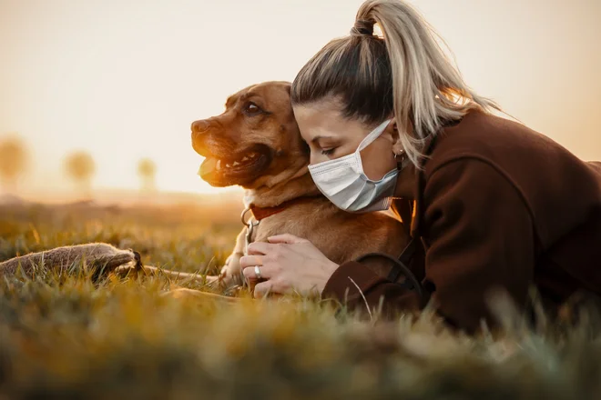 Foto: MT-R/Shutterstock