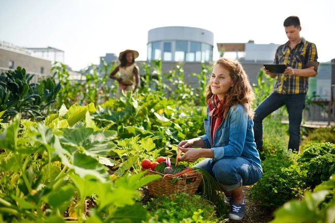 Foto: AYA images/Shutterstock