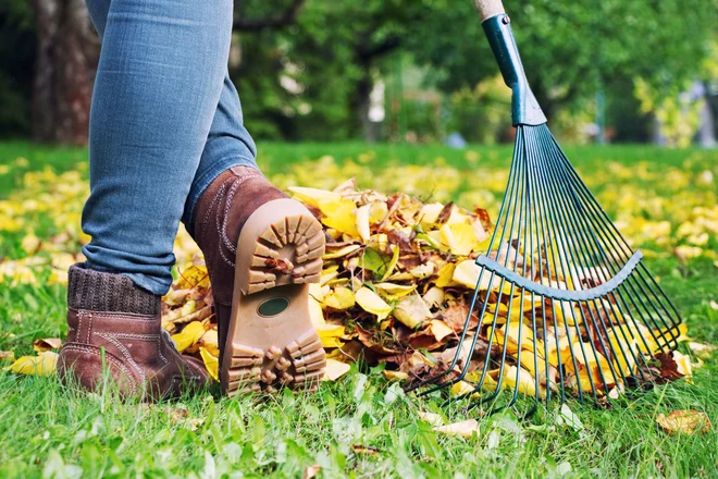 Foto: encierro/Shutterstock