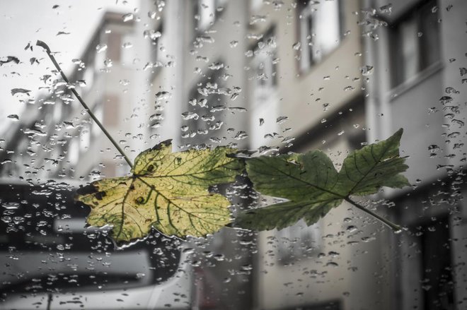 Najbolje je, da se pomivanja lotimo na oblačen (a ne deževen) dan. FOTO: Rasim Rasimoglu/Shutterstock
Foto: