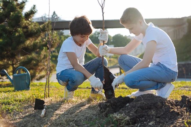 Foto: Dmytro Zinkevych/Shutterstock