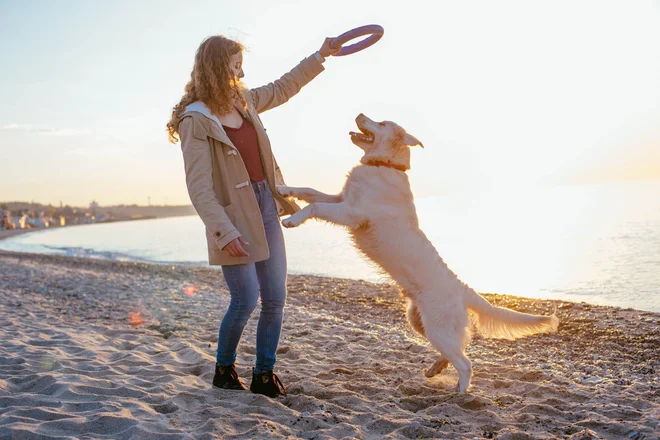 Foto: Osadchaya Olga/Shutterstock