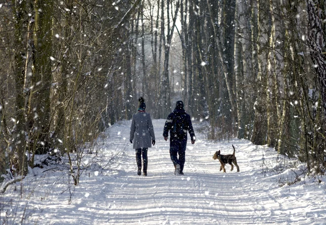 Foto: Lukas Davidziuk/Shutterstock