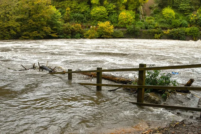 Foto: Ceri Breeze/Shutterstock