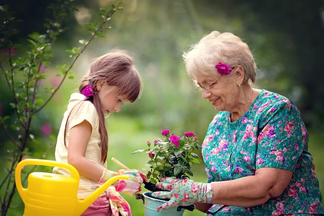 Foto: Tania Kolinko/Shutterstock