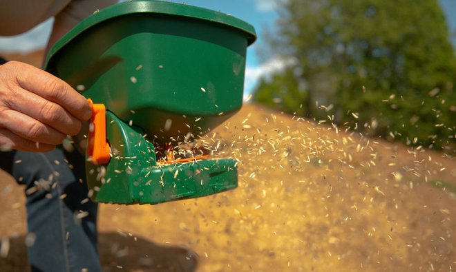 Drobno travno seme bomo enakomerneje posejali z ročnim sejalnikom. Foto Flystock/Shutterstock
Foto: