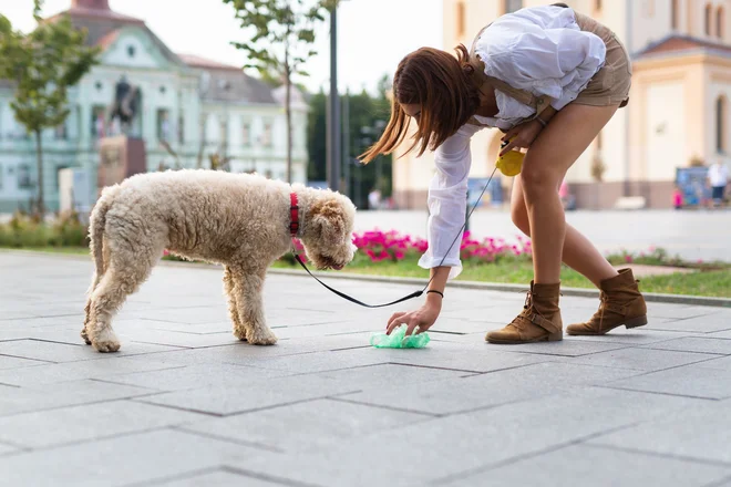 Foto: Dejan Dundjerski/Shutterstock