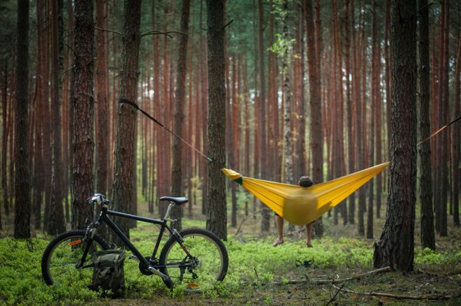 Viseča mreža brez palic je bolj stabilna. Foto: Sunrise Hunter/Shutterstock
Foto: