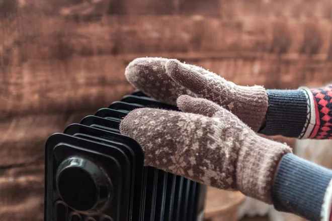 Foto: goffkein.pro/Shutterstock