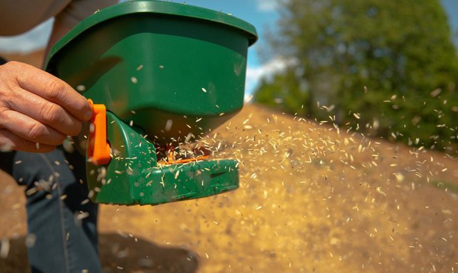 Travo bomo enakomerneje sejali s preprosto sejanico kot ročno. Foto: Flystock/Shutterstock
Foto: