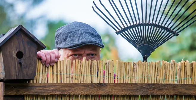 Foto: Rainer Fuhrmann/Shutterstock