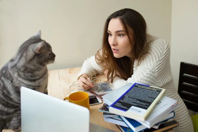 Foto: garetsworkshop/Shutterstock