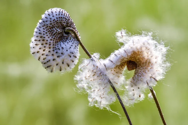 Foto: Coulanges/Shutterstock