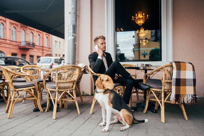 Socializiran pes bo navajen različnih ljudi, predmetov, hrupa, okolja. Življenje z njim bo veselo in manj stresno. FOTO: Sveta Y/Shutterstock
Foto: