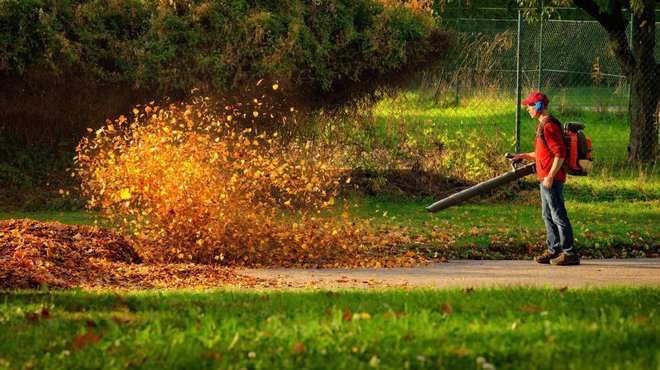 Zakaj neki so puhalci listja opremljeni s slušalkami? Foto: Smileus/Shutterstock_
Foto: