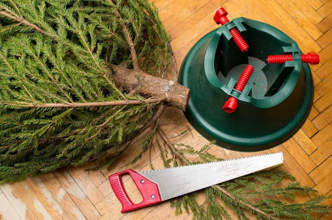 Stojalo za odrezano smrečico naj bo dovolj težko, v tem bo drevesce stalo v vodi. Foto: Koldunov Alexey/Shutterstock
Foto: