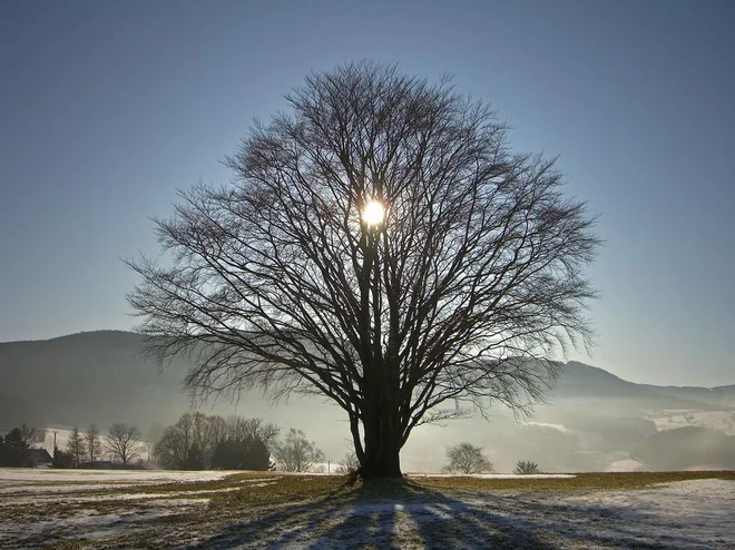 Foto: Bjoern Buxbaum Conradi/Shutterstock