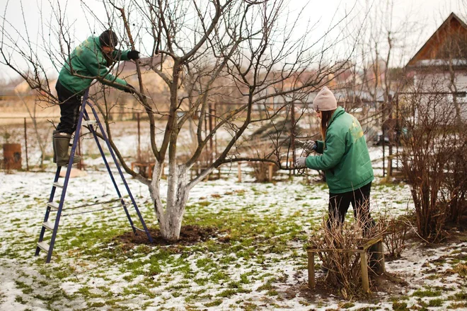 Foto: Natalia Lebedinskaia/Shutterstock