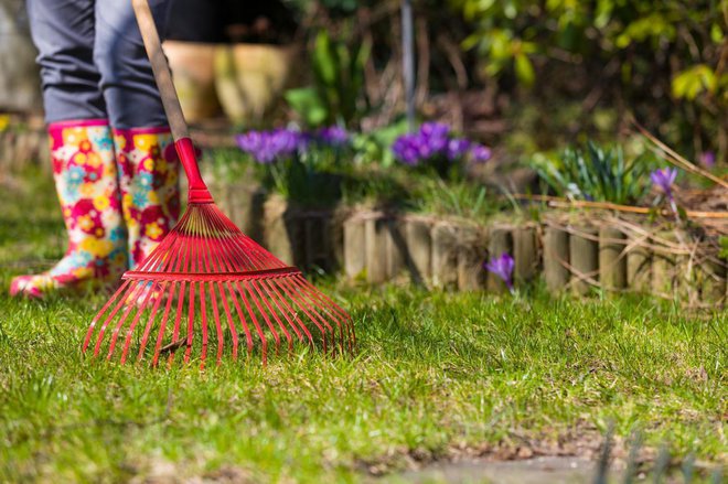 Spomladi trato najprej temeljito pregrabimo. Foto: gkrphoto/Shutterstock
Foto: