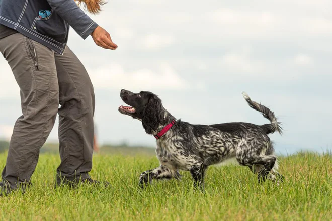 Foto: thka/Shutterstock