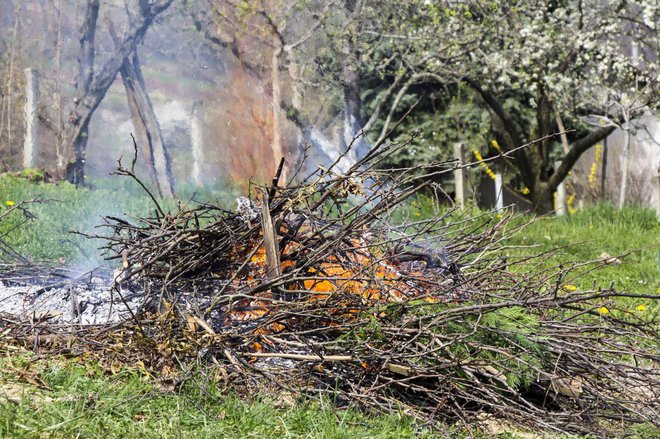 Zeleni odrez je vlažen material, zato se pri kurjenju sprošča veliko strupenih snovi. Foto: Ivan Smuk/Shutterstock
Foto: