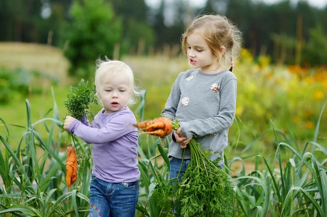 Foto: MNStudio/Shutterstock