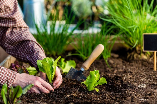 Foto: iMarzi/Shutterstock