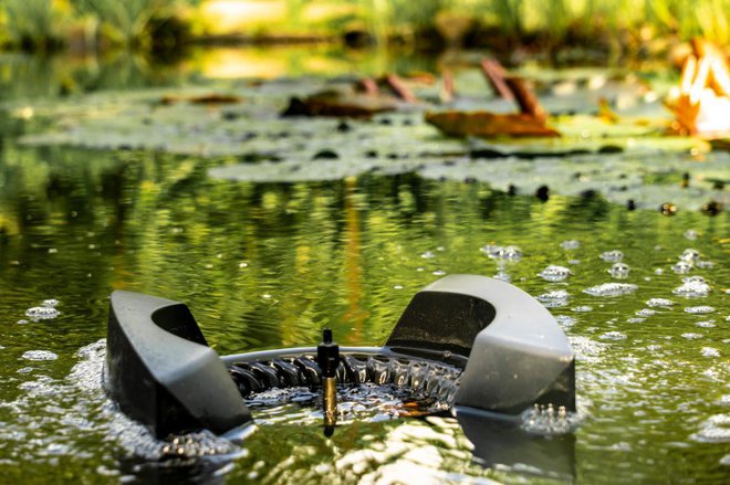 Naložba v naravni plavalni bazen je primerljiva z gradnjo klasičnega bazena, pri katerem vodo čistimo s kemičnimi sredstvi. FOTO: Alexsander Denisenko/Shutterstock
Foto: