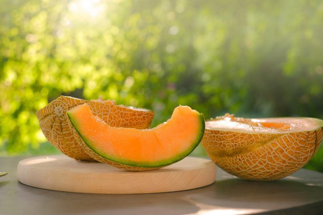 Melona potrebuje za zorenje veliko toplote in vsaj tri mesece od sajenja sadike. Foto: yul38885/Shutterstock
Foto: